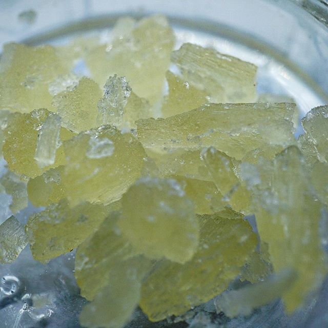 Diego Pellicer - Denver Website