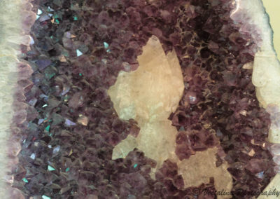 Twenty After Four Wellness Center Website