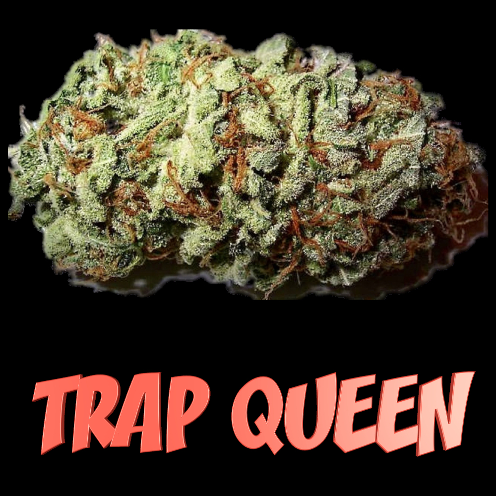 Healthy Greens Delivery Website