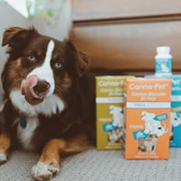 Canna Pet (complaints, FDA found little CBD) Website