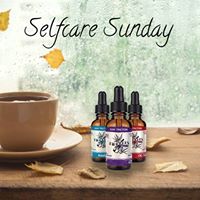 Fiddlers Greens Website