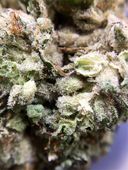 LOS ANGELES KUSH - EAST LA Website