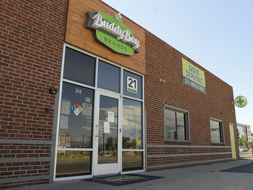 Buddy Boy Walnut - Rino Website