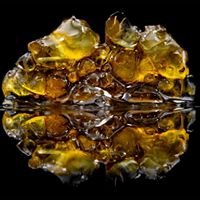 Harmony Extracts Website