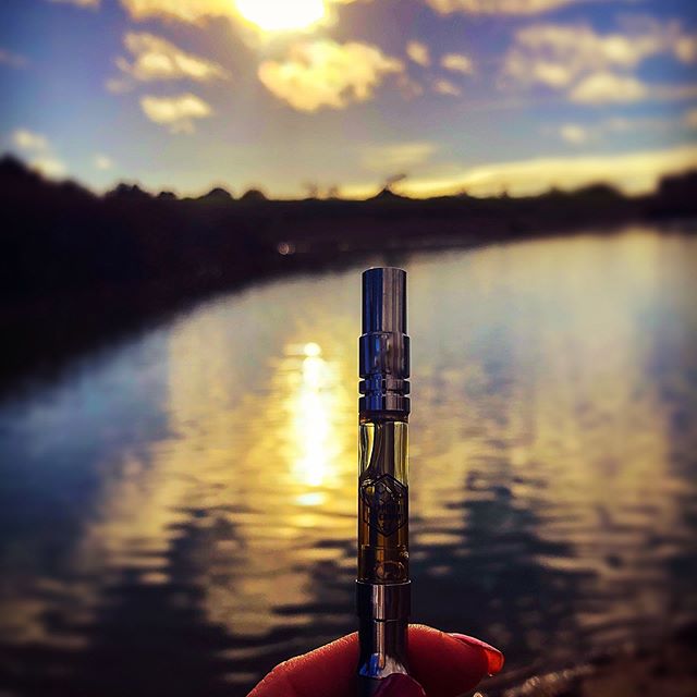 Canopy Health and Wellness Website