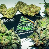 BioMass Gardens Website