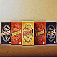 Bison Extracts Inc Website