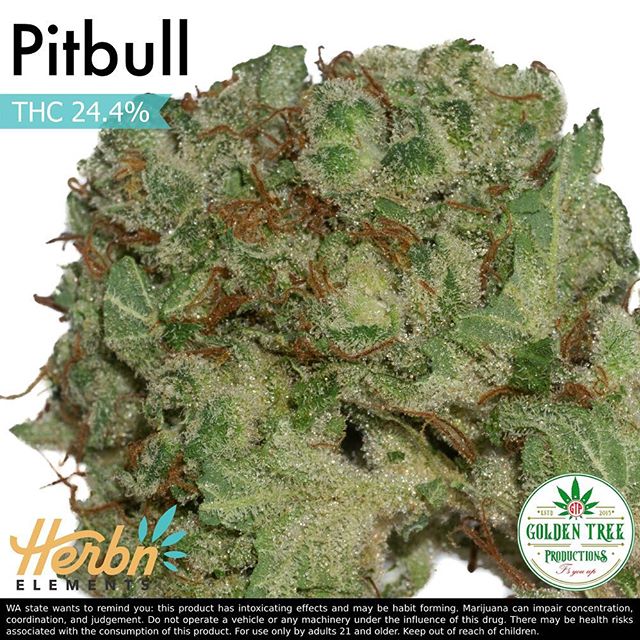 Herbn Elements – Lake City, Seattle Website