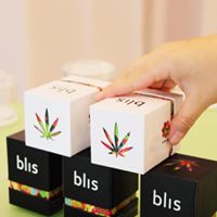 High on Love Website