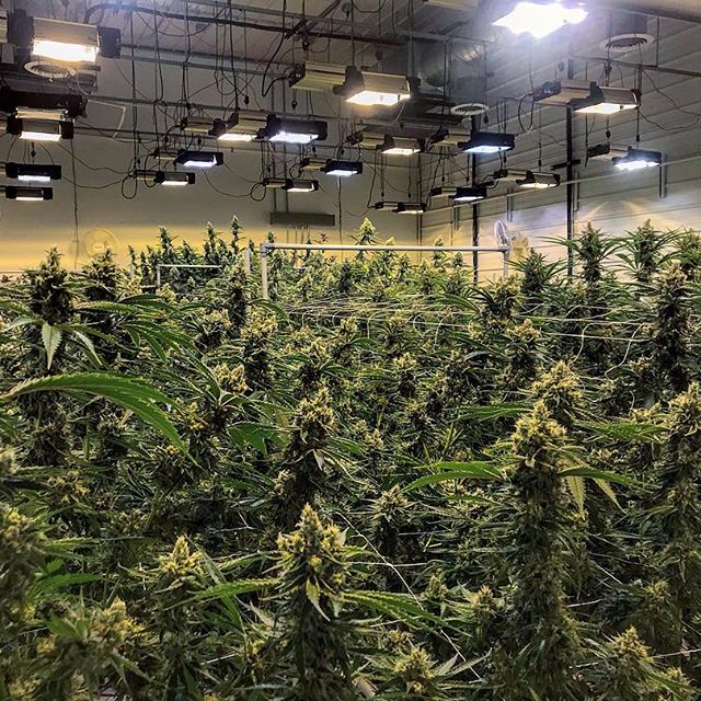 Spark1 - Missoula Website