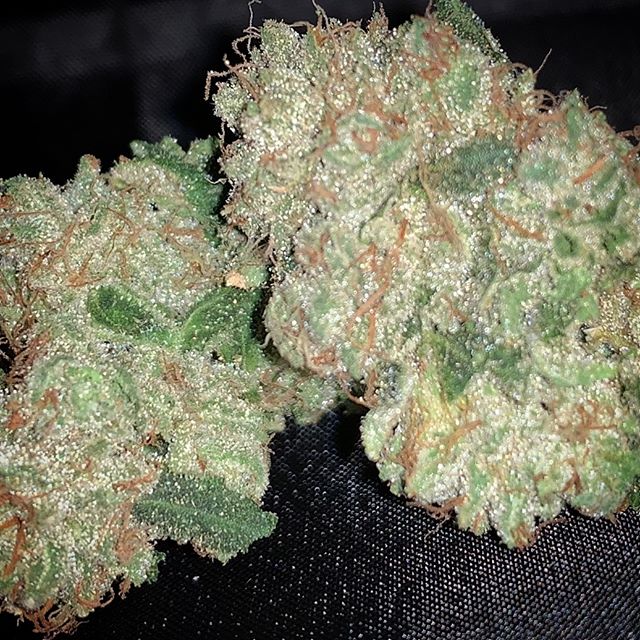 Better Buds of Maine Website