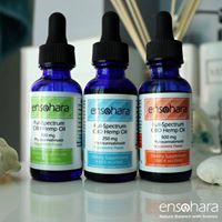 Ensohara INC Website