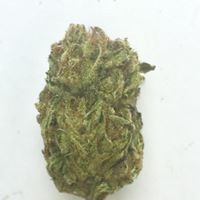 Foothill Grove Nursery Website