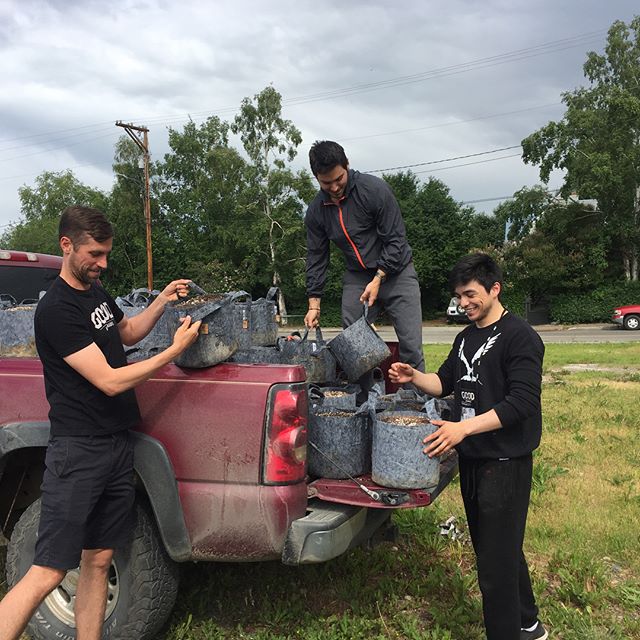 GOOD AK Cannabis Website