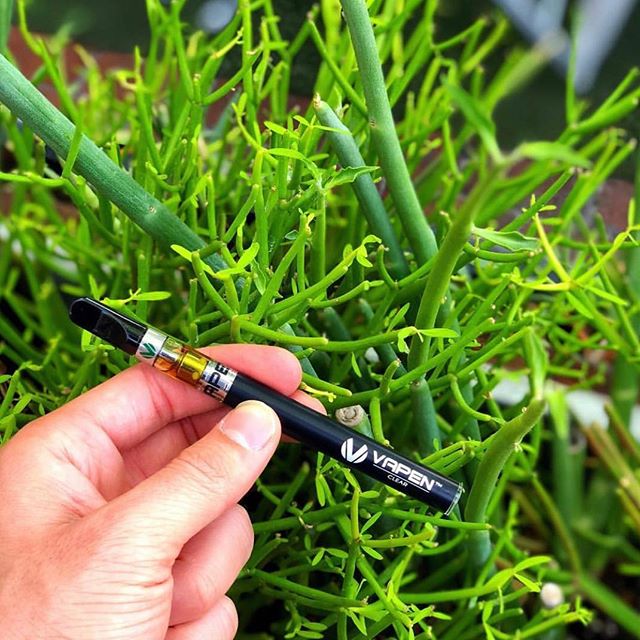 Emerald  Phoenix Website