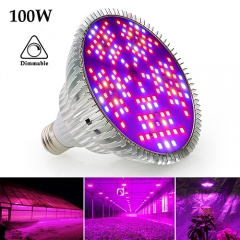 Shenzhen XinJia Light Co. Ltd Website