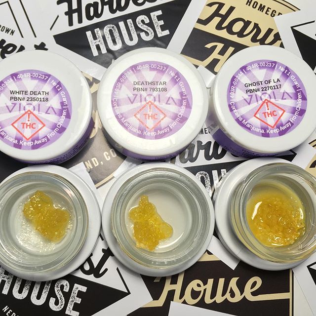 Harvest House Nederland Website