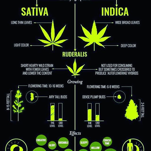 Green Cross Pharma - Rancho Mirage, Palm Springs, Palm Desert Website