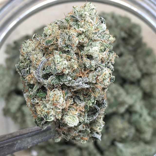 Harvest House Nederland Website