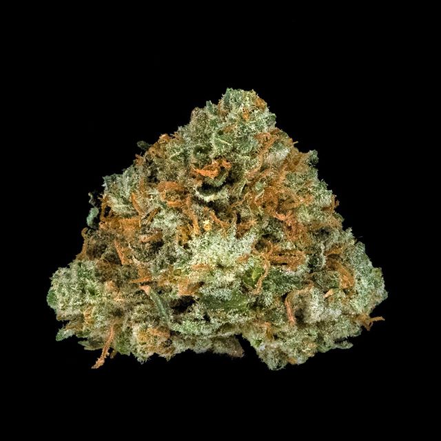 The Reef - Seattle Website