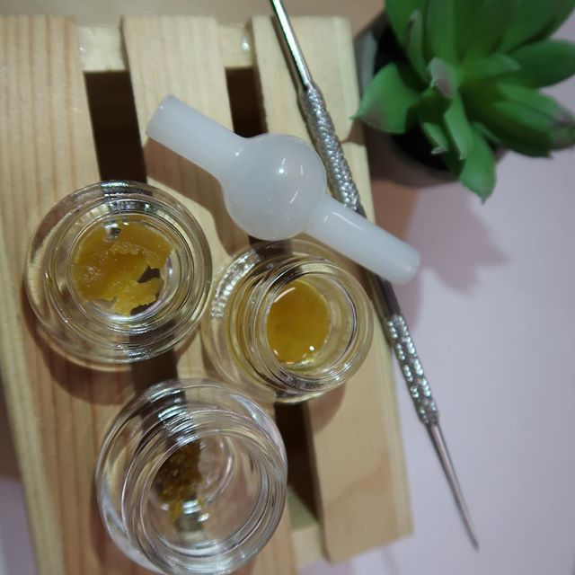 Bud and Bloom - Santa Ana Website