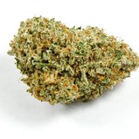 The CBDispensary Website