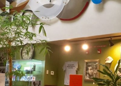 Nevada Wellness Center Website