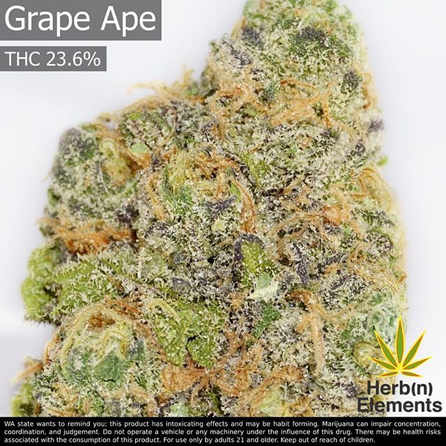 Herbn Elements – Lake City, Seattle Website