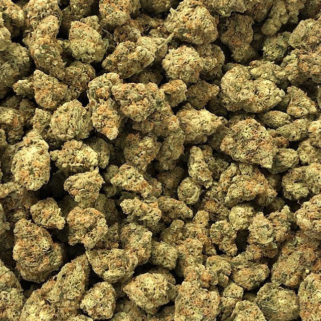 Revolutionary Clinics - Fresh Pond Website