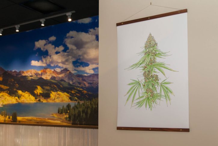 Lightshade - Federal Heights Website