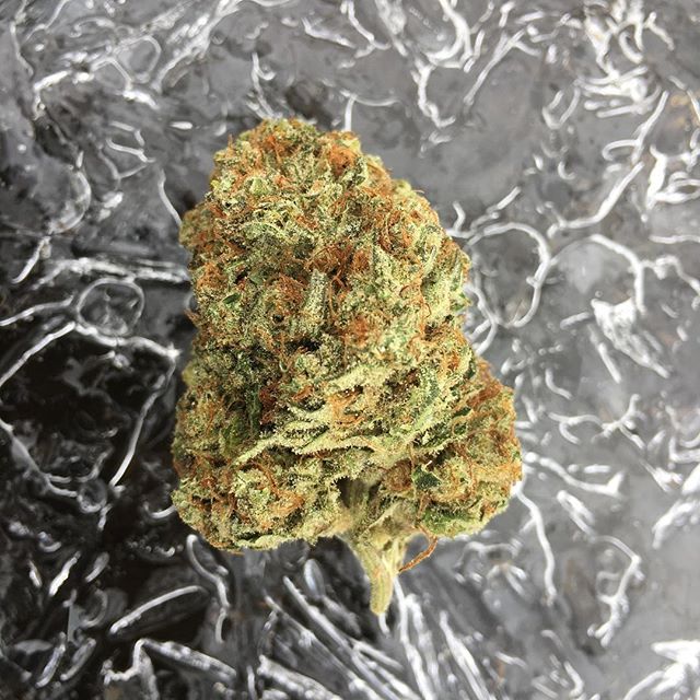 Herbal Healing Website