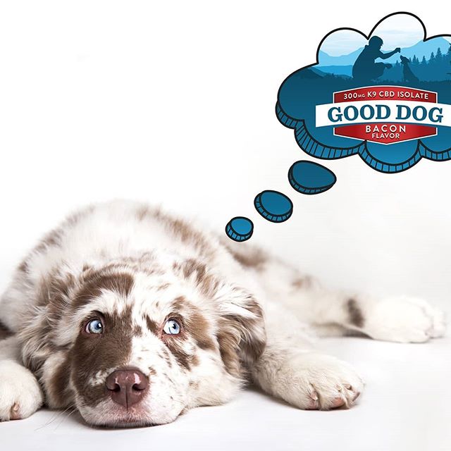 CBD Plus USA - Dallas - CBD Only Website