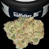 The Way Home Website