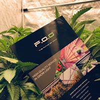Fourtwenty Website