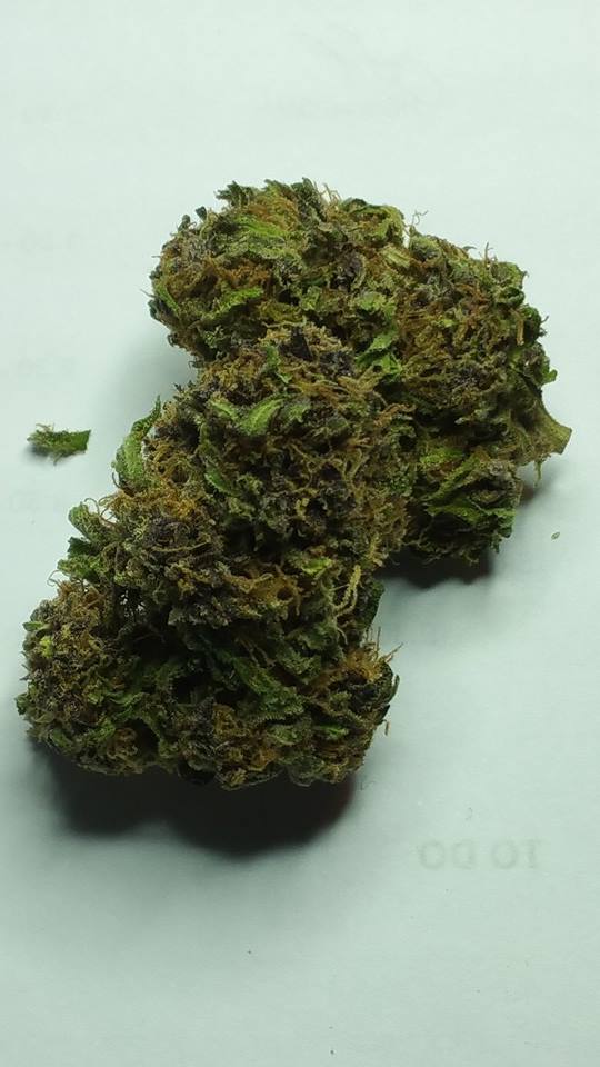 Little Amsterdam - Nevada Website