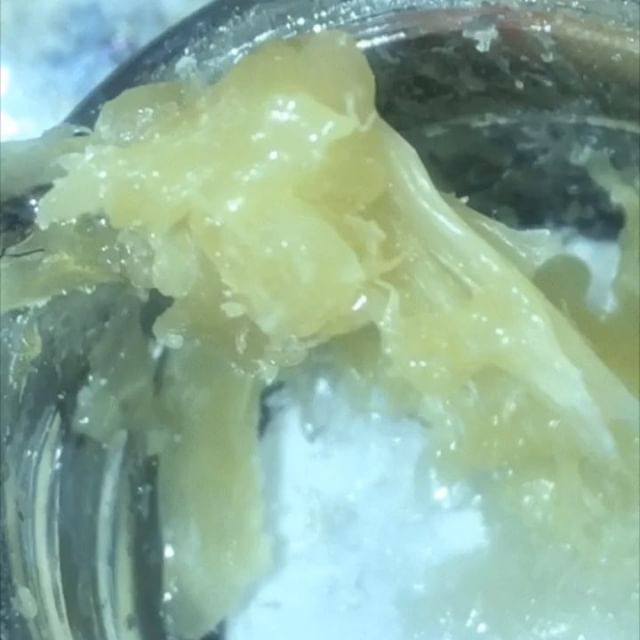 Sacred Seed Medical Dispensary Website