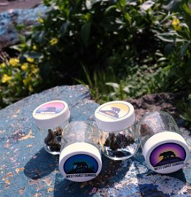 West Coast Sunrise Website