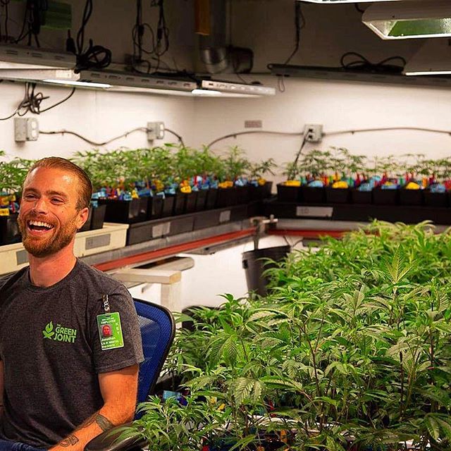 The Green Joint Glenwood Springs - Recreational Website