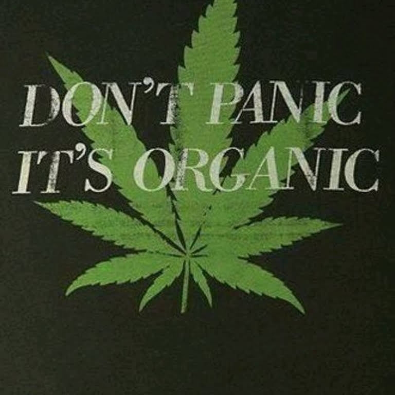 420 Factory - Detroit Website