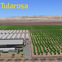 Ultra Health Albuquerque - Nob Hill Birdland Website