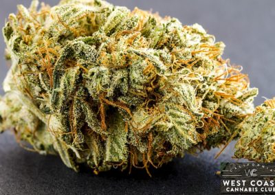West Coast Cannabis Club - Palm Desert Website