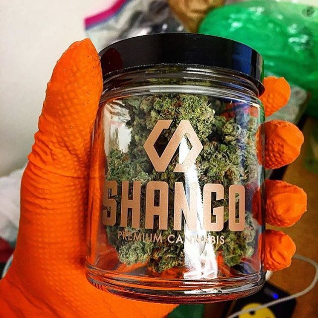 Shango Win Sivers "Airport" Website