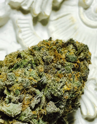 Mobile420rx - Livermore Website