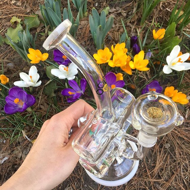 Ash + Ember Cannabis Website