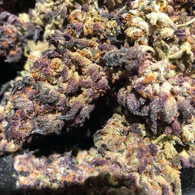 Green Cross Pharma - Rancho Mirage, Palm Springs, Palm Desert Website