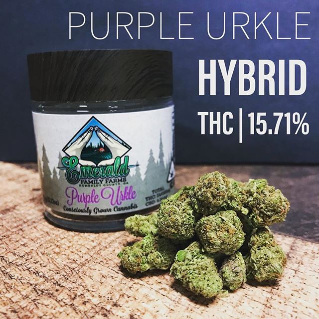 Captain Jacks Website