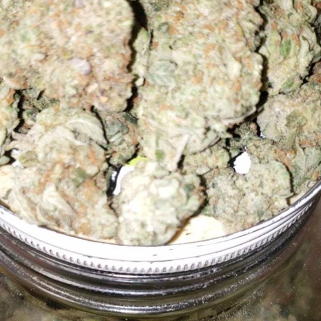 Stone Age Pharmacy Los Angeles Website