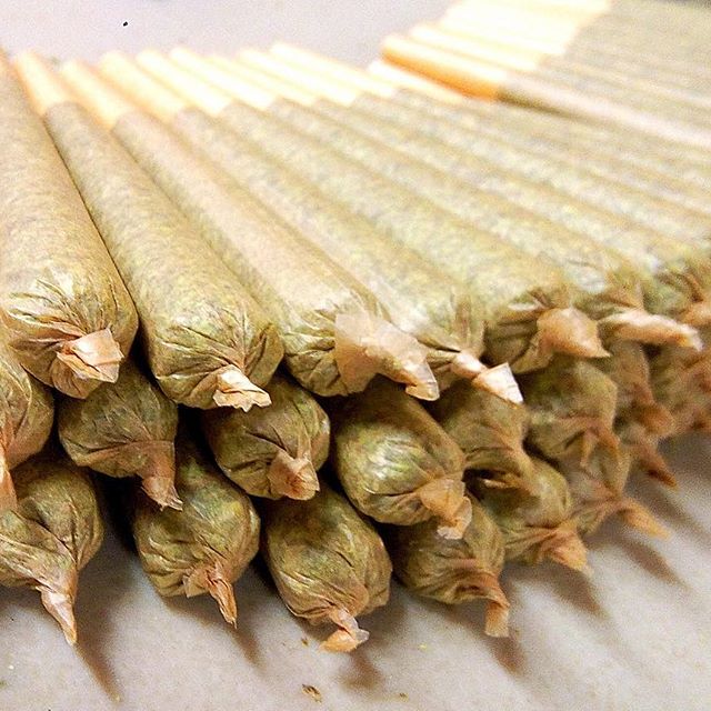 The Green Joint Glenwood Springs - Recreational Website