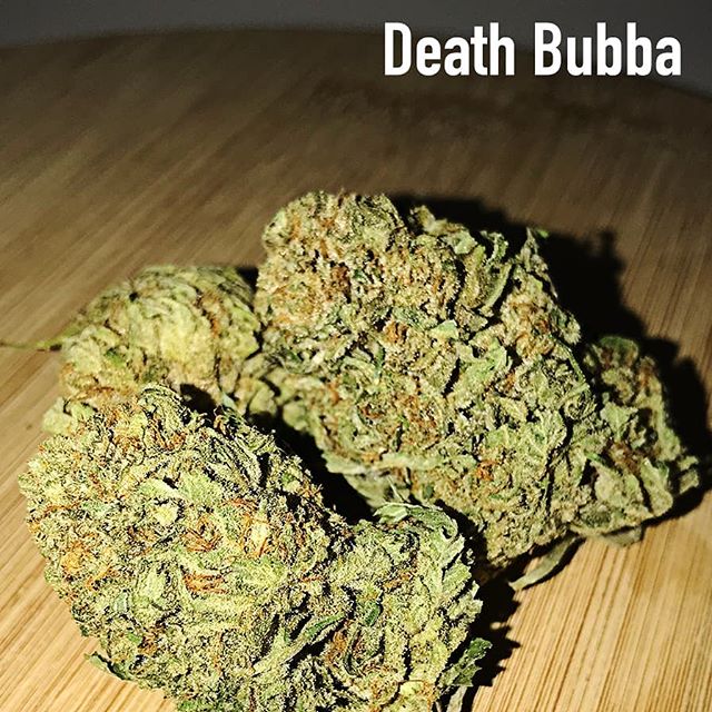 Canna Couriers Website