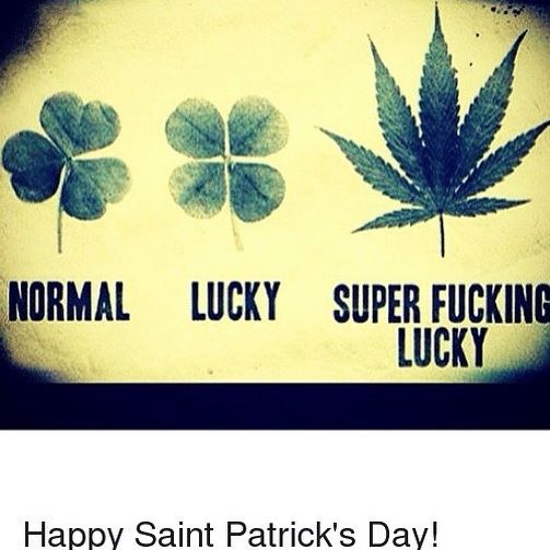 The Reef - Seaside Website